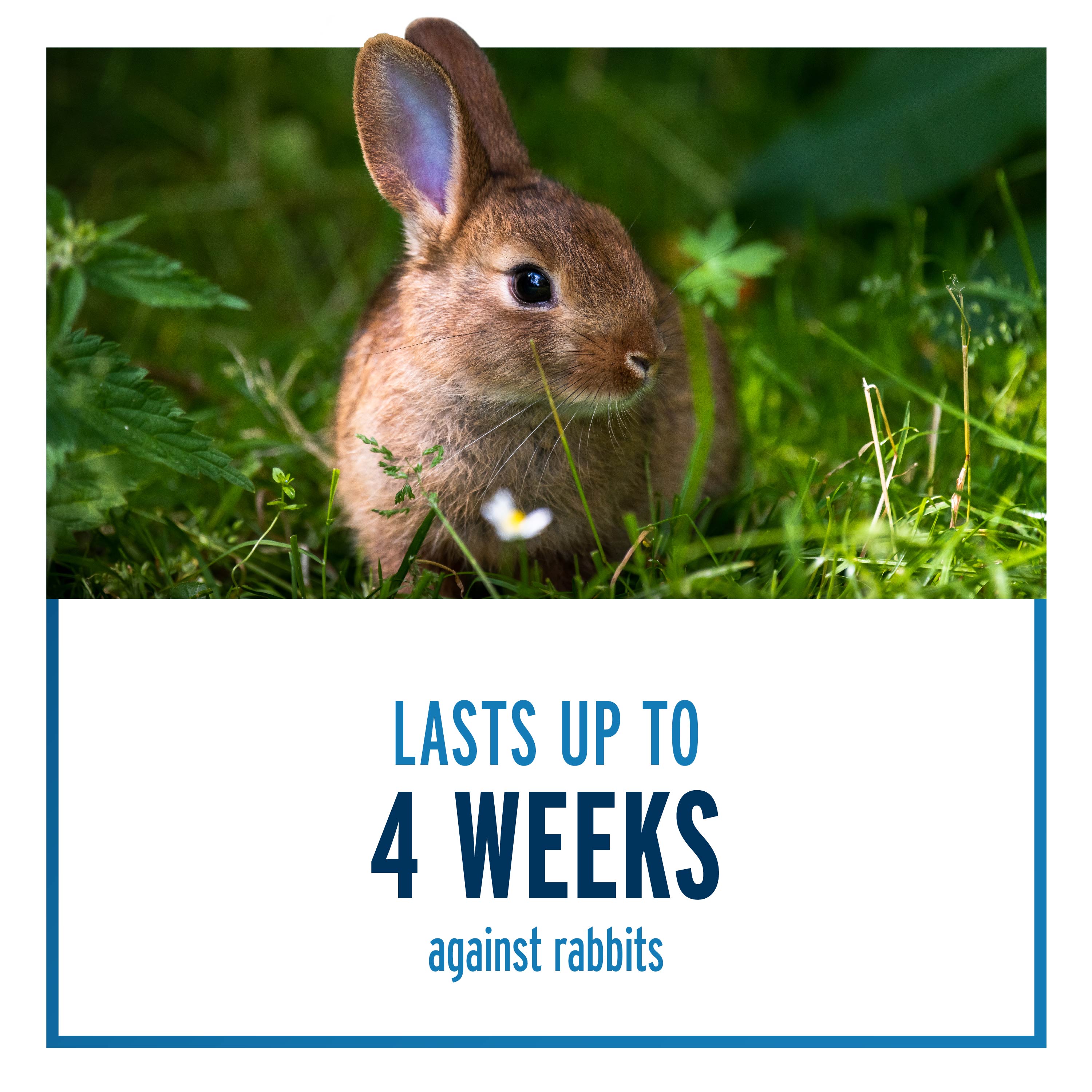 lasts up to 4 weeks against rabbits
